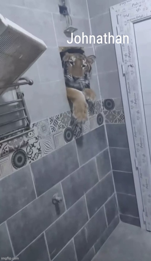 Thus is Johnathan. Say "Hi, Johnathan!" | Johnathan | image tagged in johnathan,tigre | made w/ Imgflip meme maker