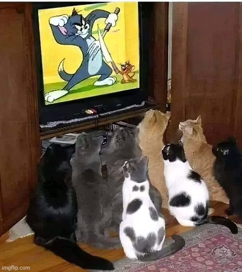 Tum und gery | made w/ Imgflip meme maker