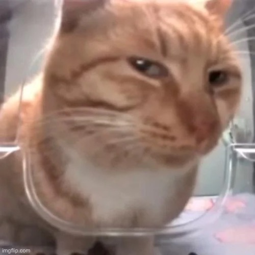 gm youse guys | made w/ Imgflip meme maker