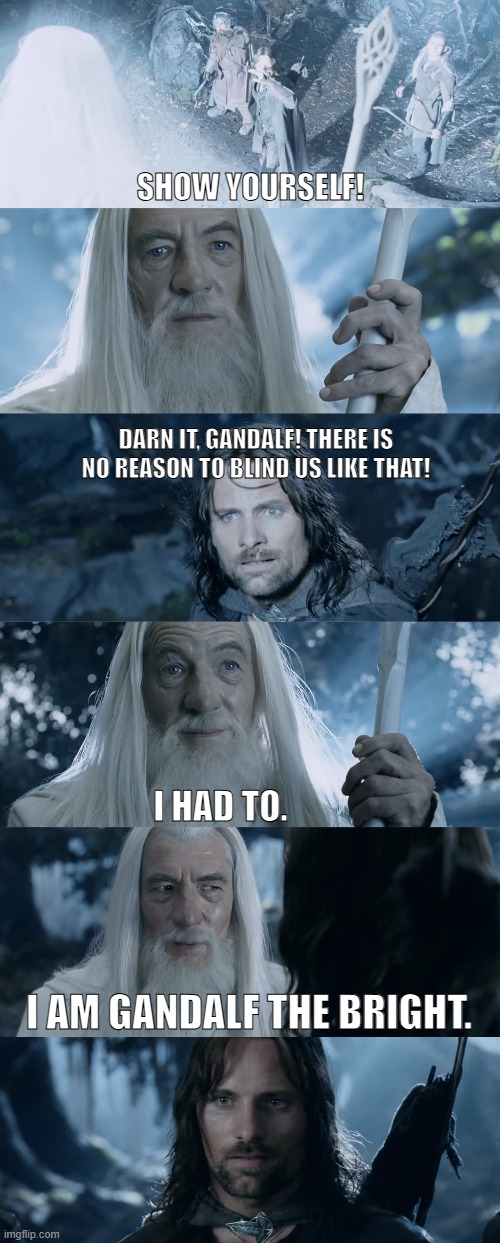 Gandalf the Witty | SHOW YOURSELF! DARN IT, GANDALF! THERE IS NO REASON TO BLIND US LIKE THAT! I HAD TO. I AM GANDALF THE BRIGHT. | image tagged in lord of the rings,gandalf,legolas,aragorn,gimli | made w/ Imgflip meme maker