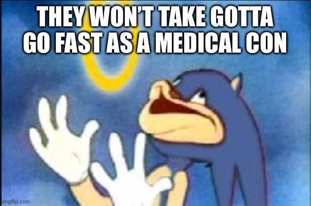 Sonic derp | THEY WON’T TAKE GOTTA GO FAST AS A MEDICAL CONDITION | image tagged in sonic derp | made w/ Imgflip meme maker