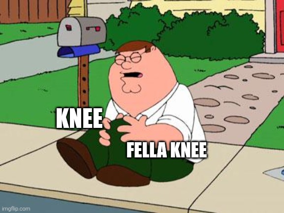 Family Guy Knee | KNEE FELLA KNEE | image tagged in family guy knee | made w/ Imgflip meme maker
