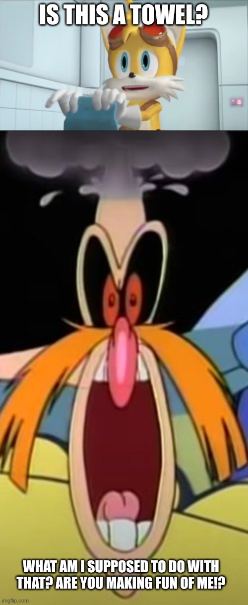 IS THIS A TOWEL? WHAT AM I SUPPOSED TO DO WITH THAT? ARE YOU MAKING FUN OF ME!? | image tagged in here hold this,virgin robotnik vs chad sonic | made w/ Imgflip meme maker