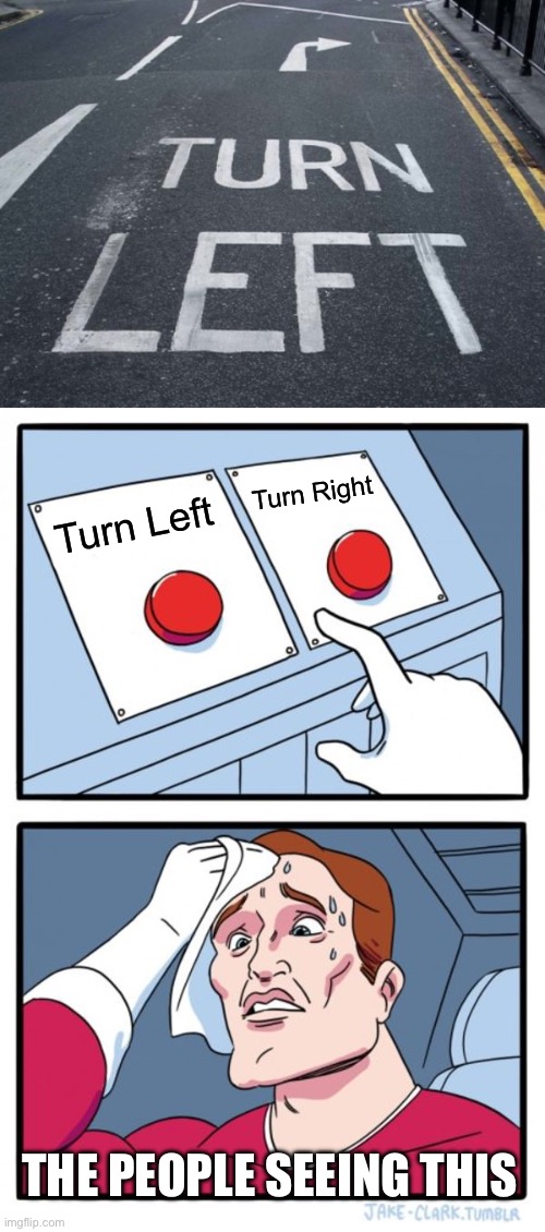 You had one job. Just one simple job! | Turn Right; Turn Left; THE PEOPLE SEEING THIS | image tagged in memes,two buttons,you had one job | made w/ Imgflip meme maker