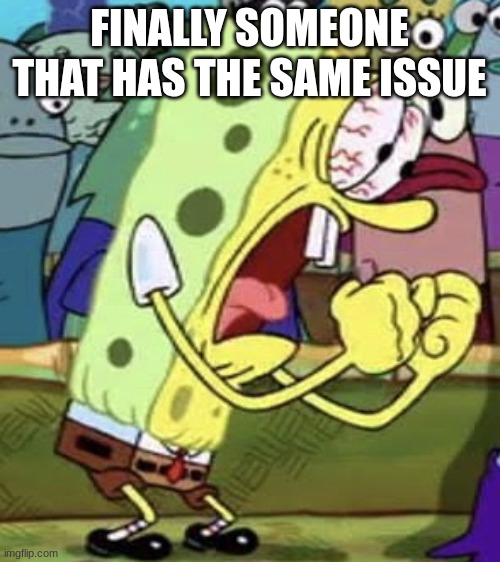 yelling spongebob | FINALLY SOMEONE THAT HAS THE SAME ISSUE | image tagged in yelling spongebob | made w/ Imgflip meme maker