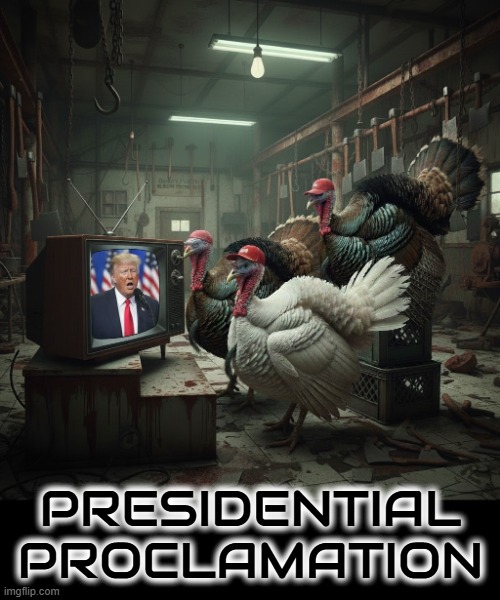 Presidential Proclamation | PRESIDENTIAL PROCLAMATION | image tagged in presidential proclamation,turkey,pardon,trump,maga,thanksgiving | made w/ Imgflip meme maker