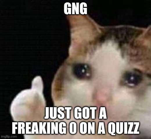 FUCKING POLYNOMIALS WE ONLY SPENT A WEEK ON THIS AND THERE WAS ONLY 5 QUESTIONS | GNG; JUST GOT A FREAKING 0 ON A QUIZZ | image tagged in approved crying cat | made w/ Imgflip meme maker