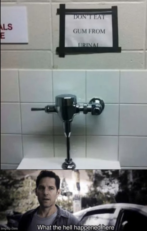 do i wanna know? | image tagged in what the hell happened here | made w/ Imgflip meme maker