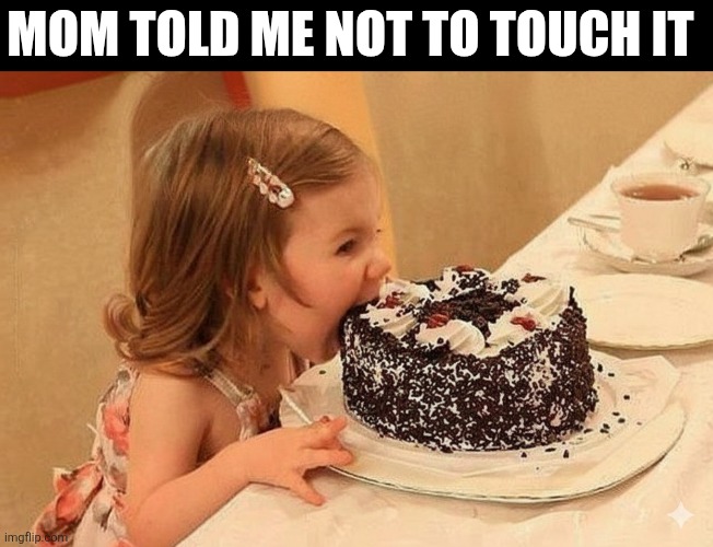 Mom Told Me Not To Touch It | MOM TOLD ME NOT TO TOUCH IT | image tagged in chrisjoines1 | made w/ Imgflip meme maker