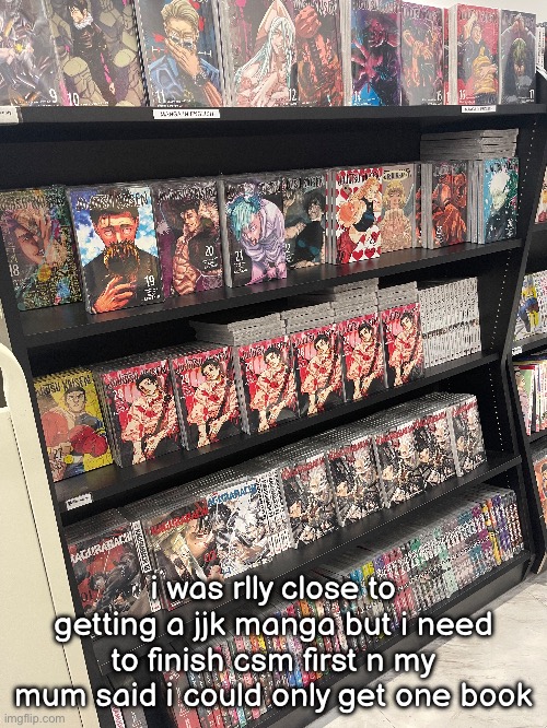 and like i dont wanna start sumn whilst in the middle of another | i was rlly close to getting a jjk manga but i need to finish csm first n my mum said i could only get one book | made w/ Imgflip meme maker