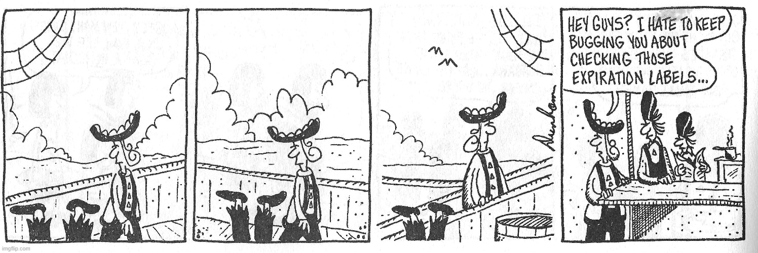 Classic Overboard | image tagged in comics | made w/ Imgflip meme maker