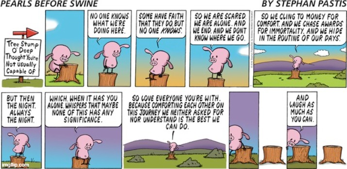 Pearls Before Swine | image tagged in comics | made w/ Imgflip meme maker