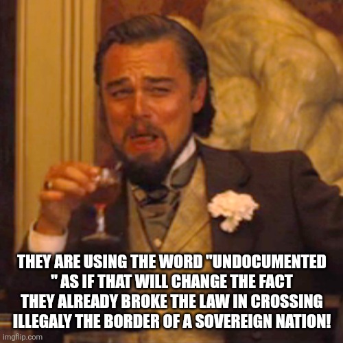 Laughing Leo Meme | THEY ARE USING THE WORD "UNDOCUMENTED " AS IF THAT WILL CHANGE THE FACT THEY ALREADY BROKE THE LAW IN CROSSING ILLEGALY THE BORDER OF A SOVE | image tagged in memes,laughing leo | made w/ Imgflip meme maker