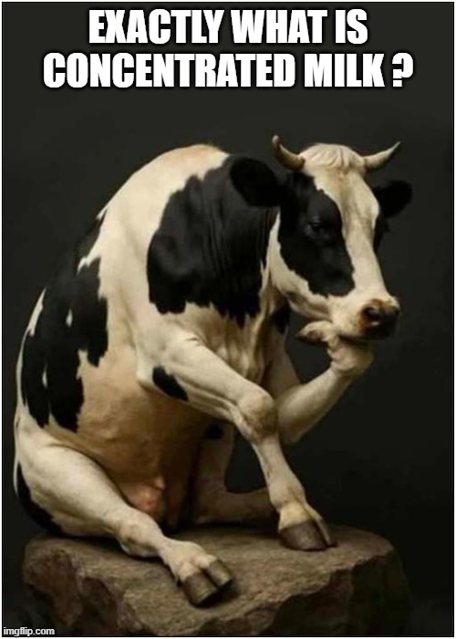 Is This What  Cows Think About ? | EXACTLY WHAT IS CONCENTRATED MILK ? | image tagged in cows,the thinker,concentrated,milk | made w/ Imgflip meme maker