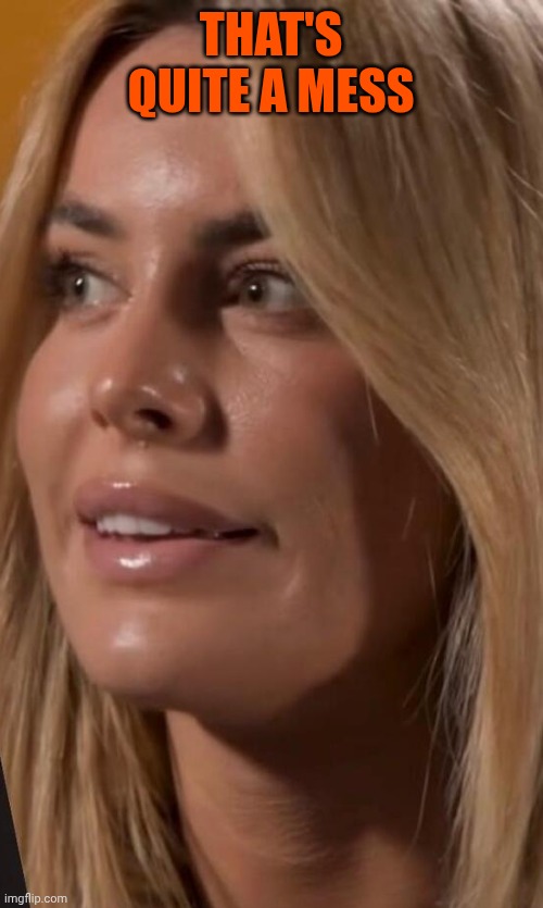 Sophie Codegoni | THAT'S QUITE A MESS | image tagged in sophie codegoni | made w/ Imgflip meme maker