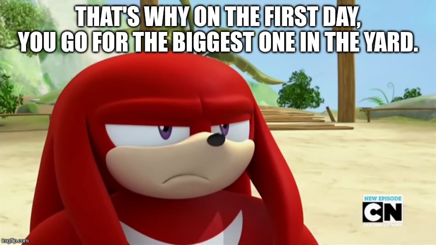 Knuckles is not Impressed - Sonic Boom | THAT'S WHY ON THE FIRST DAY, YOU GO FOR THE BIGGEST ONE IN THE YARD. | image tagged in knuckles is not impressed - sonic boom | made w/ Imgflip meme maker