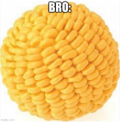 BRO: | made w/ Imgflip meme maker