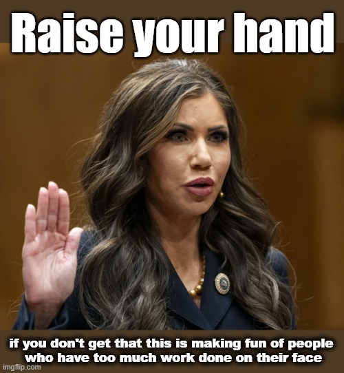 Raise your hand if you don't get that this is making fun of people 
who have too much work done on their face | made w/ Imgflip meme maker