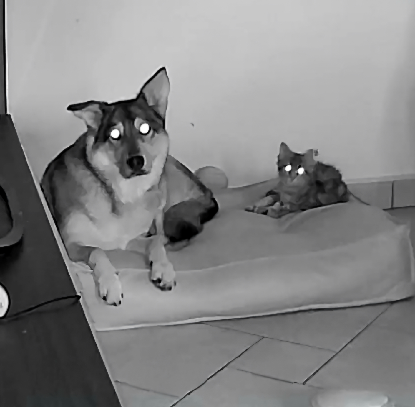 C and K are demons Blank Meme Template