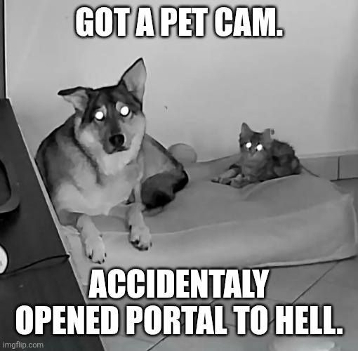 My pets are Demons | GOT A PET CAM. ACCIDENTALY OPENED PORTAL TO HELL. | image tagged in c and k are demons | made w/ Imgflip meme maker