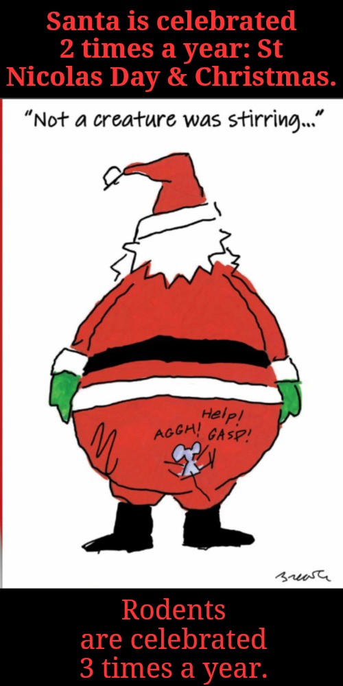 Coal in all their stockings! | Santa is celebrated 2 times a year: St Nicolas Day & Christmas. Rodents are celebrated 3 times a year. | image tagged in santa is jealous of mice,rodents,right and terribly wrong | made w/ Imgflip meme maker