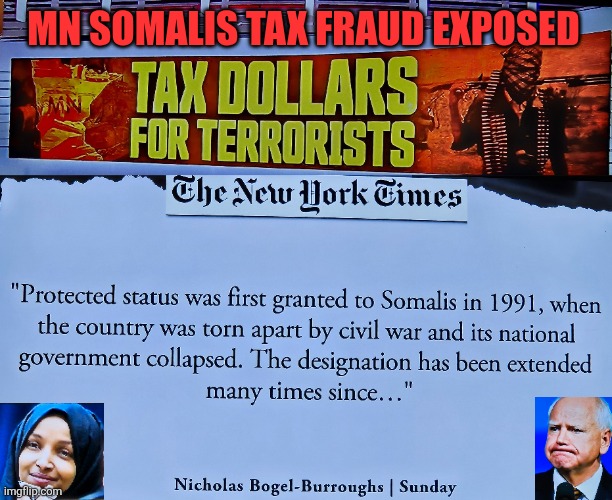 Minnesota Somalis tax fraud exposed | MN SOMALIS TAX FRAUD EXPOSED | image tagged in tax dollars for terrorists,minnesota,somalis,fraud,corruption,terrorist | made w/ Imgflip meme maker