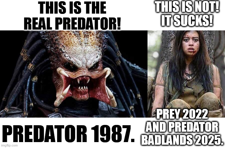 Prey sucks, Predator killer of killers is a Plagiarism of the Garth Ennis story Thor - Vikings 2003, Predator badlands is crap! | THIS IS THE REAL PREDATOR! THIS IS NOT!
IT SUCKS! PREY 2022 AND PREDATOR BADLANDS 2025. PREDATOR 1987. | image tagged in predator,prey,predator badlands,killer of killers,thor vikings,memes | made w/ Imgflip meme maker