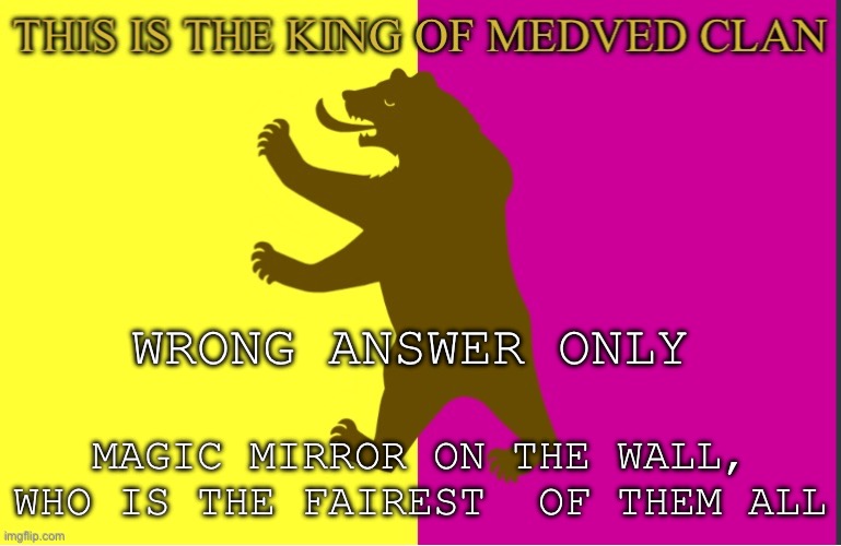 Outdated bear | WRONG ANSWER ONLY; MAGIC MIRROR ON THE WALL, WHO IS THE FAIREST  OF THEM ALL | image tagged in king of medved bear | made w/ Imgflip meme maker