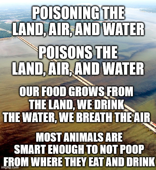 Anti-Environmental | POISONING THE LAND, AIR, AND WATER; POISONS THE LAND, AIR, AND WATER; OUR FOOD GROWS FROM THE LAND, WE DRINK THE WATER, WE BREATH THE AIR; MOST ANIMALS ARE SMART ENOUGH TO NOT POOP FROM WHERE THEY EAT AND DRINK | image tagged in environmental protection agency,maga,donald trump,republicans | made w/ Imgflip meme maker