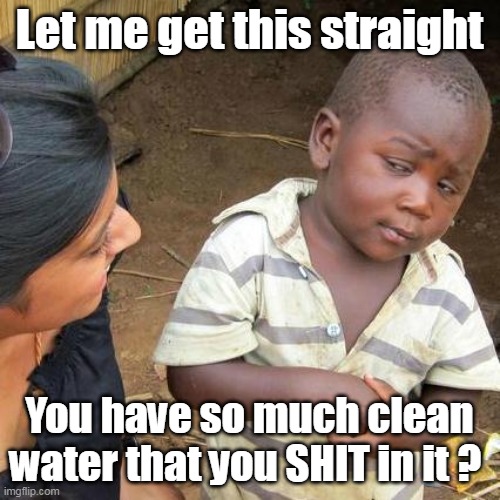 Let me get this straight You have so much clean water that you SHIT in it ? | made w/ Imgflip meme maker