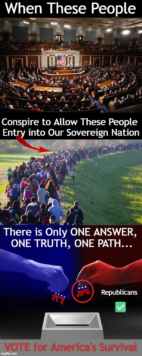 VOTE in EVERY ELECTION or "EMBRACE THE SUCK" (Nancy Pelosi) | When These People; Conspire to Allow These People 
Entry into Our Sovereign Nation; There is Only ONE ANSWER, 
ONE TRUTH, ONE PATH... Republicans; ✅; VOTE for America's Survival | image tagged in voting,republican party,democrats,invasion of america,saving our sovereignty,the truth | made w/ Imgflip meme maker