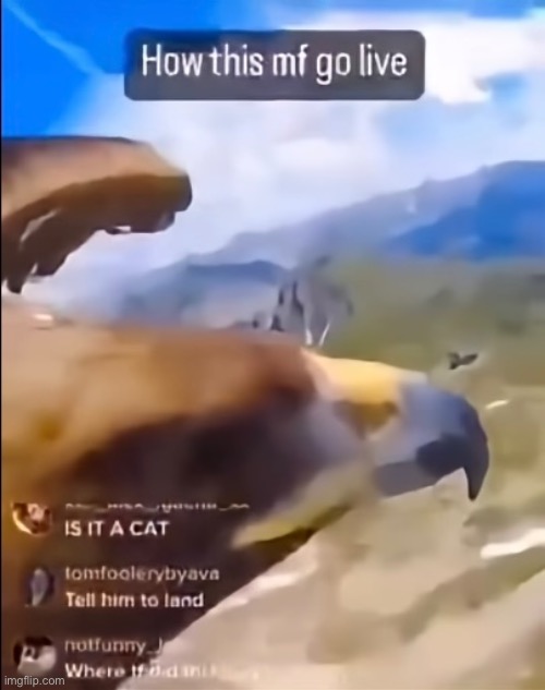 . | made w/ Imgflip meme maker