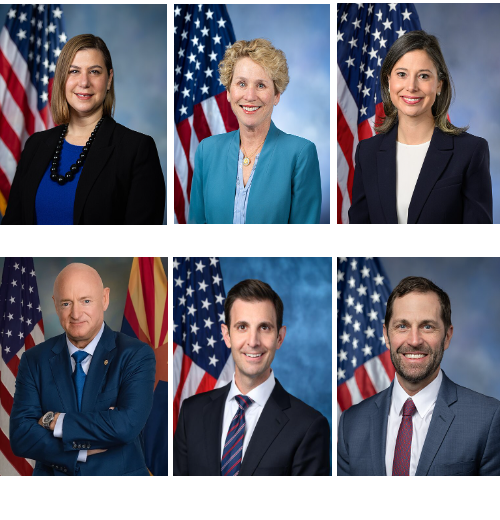 There are six seditionists in Congress Blank Meme Template