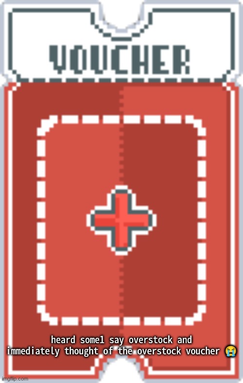 heard some1 say overstock and immediately thought of the overstock voucher 😭 | made w/ Imgflip meme maker