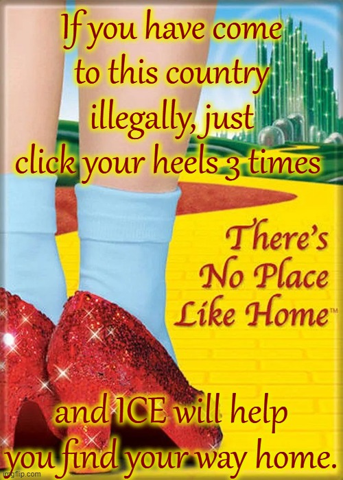 If going home is a problem then find a Democrat and move into their house/apartment.  They're not nice people but they want you. | If you have come to this country illegally, just click your heels 3 times; and ICE will help you find your way home. | image tagged in there's no place like home,illegals live rent free in libs heads,illegals should live rent free in dems houses,or just go home | made w/ Imgflip meme maker