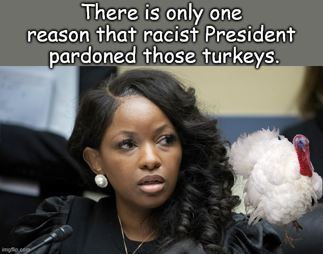 Her mind never stops... | There is only one reason that racist President  pardoned those turkeys. | image tagged in bsm jasmine crockett side eye glaring | made w/ Imgflip meme maker