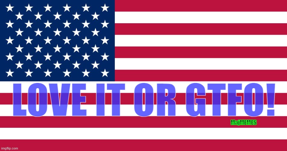 america | LOVE IT OR GTFO! MajMEMES | image tagged in american flag,gtfo | made w/ Imgflip meme maker