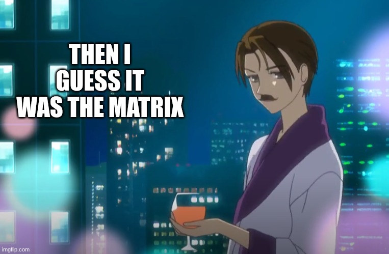 Lobelia Girl with mustache | THEN I GUESS IT WAS THE MATRIX | image tagged in lobelia girl with mustache | made w/ Imgflip meme maker