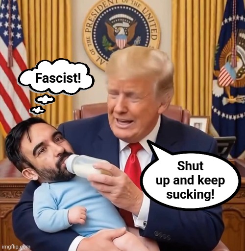 What worked for Stormy Daniels works for the Zohran too! | Fascist! Shut
up and keep
sucking! | image tagged in memes,zohran mamdani,fascist,democrats,suck it,baby bottle | made w/ Imgflip meme maker