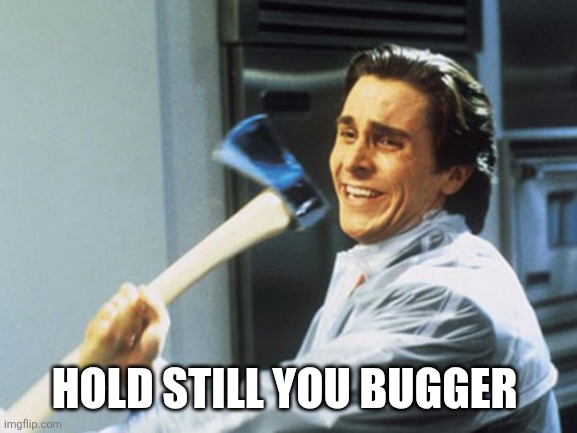 American Psycho Axe | HOLD STILL YOU BUGGER | image tagged in american psycho axe | made w/ Imgflip meme maker