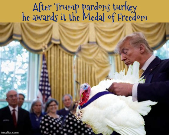Force of habit | image tagged in force of habit,one turkey and one lame duck,maga medal,trump stuffing the turkey,practice for maxwell | made w/ Imgflip meme maker