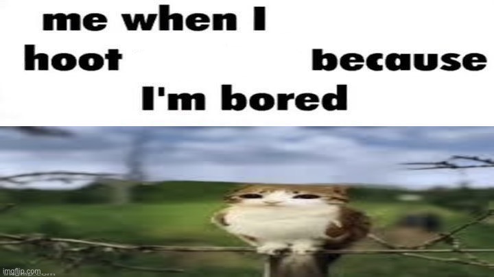 me when i hoot because i’m bored | made w/ Imgflip meme maker