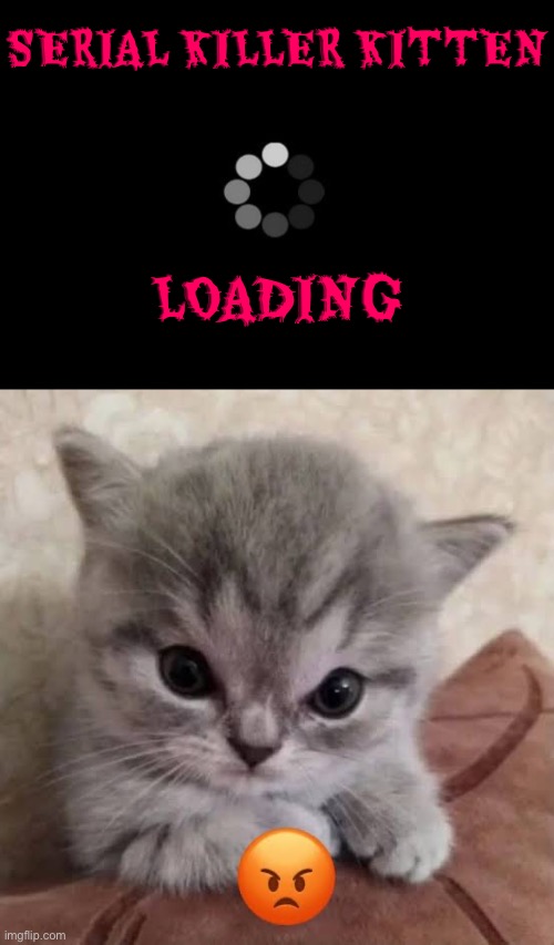 Serial Killer Loading | SERIAL KILLER KITTEN; LOADING | image tagged in cats,funny cats,kittens,serial killer,loading cat,angry cat | made w/ Imgflip meme maker