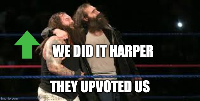 If bray Wyatt and Luke Harper were Imgflip users | WE DID IT HARPER; THEY UPVOTED US | image tagged in bray wyatt and luke harper | made w/ Imgflip meme maker