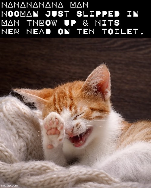 In Mah Throw Up | HAHAHAHAHA MAH HOOMAN JUST SLIPPED IN MAH THROW UP & HITS HER HEAD ON TEH TOILET. | image tagged in slip,puke,cats,funny cat memes,kittens,laughing | made w/ Imgflip meme maker