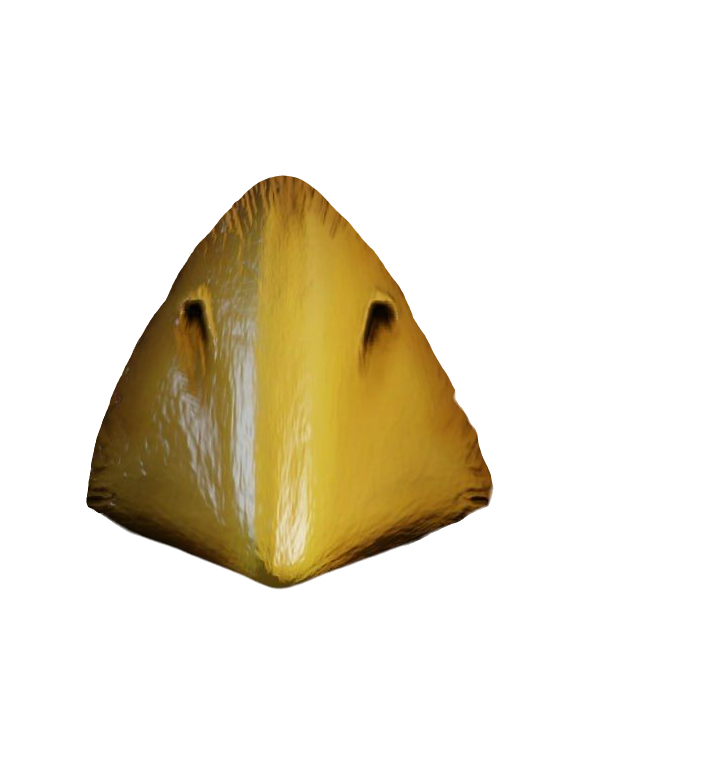 Xavier beak primo Blank Meme Template