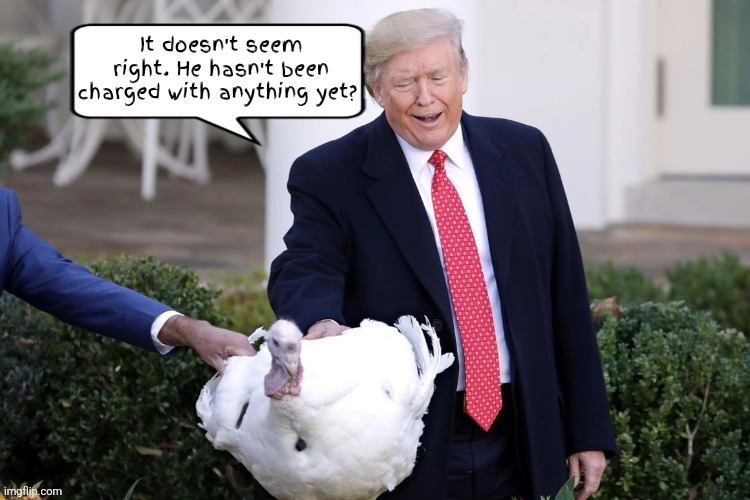 A turkey and lame brained duck | image tagged in turkey and a lame brain duck,practice for maxwell,the bird will room with maxwell at bryan camp,talking turkey | made w/ Imgflip meme maker