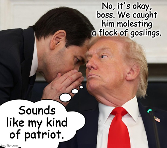 Marco Rubio Whispering In Donald Trump's Ear | No, it's okay, boss. We caught him molesting a flock of goslings. Sounds like my kind of patriot. | image tagged in marco rubio whispering in donald trump's ear | made w/ Imgflip meme maker