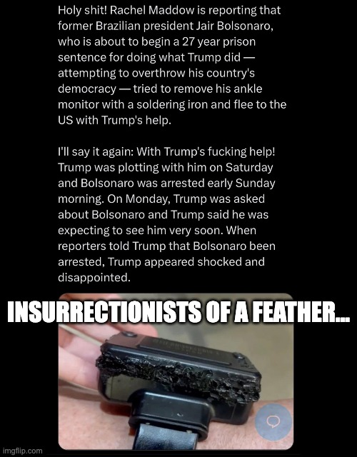 INSURRECTIONISTS OF A FEATHER... | made w/ Imgflip meme maker
