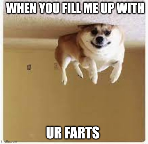 Day 18 Of Lockdown. Filled the dog with helium. | WHEN YOU FILL ME UP WITH; UR FARTS | image tagged in day 18 of lockdown filled the dog with helium | made w/ Imgflip meme maker